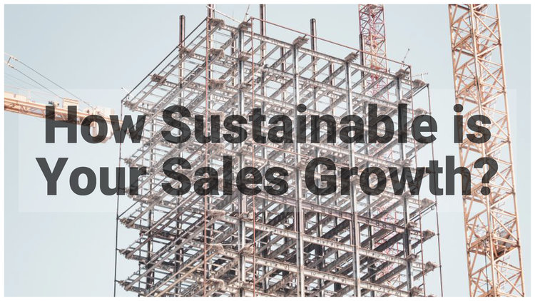 How Sustainable is Your Sales Growth?